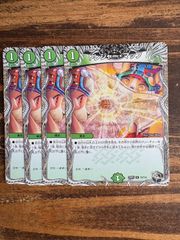 サファイアウィズダム 2枚セット シク DMX24 - メルカリ