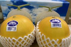 愛知　田原産　イエローキングメロン3Lサイズ　2玉入り（約2.5ｋｇ）   母の日、父の日ギフトに最適  御中元好適品！　熨斗、簡易包装対応します