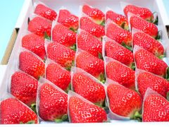 FOODISH