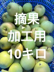 青森県産りんご摘果加工用10キロ