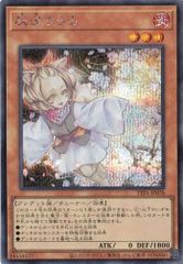 灰流うらら TTP1-JP078 【シークレットレア】 TACTICAL-TRY PACK －黒魔導・ＨＥＲＯ・御巫－ 遊戯王　トレカ道