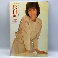 豆B6-2【写真集】 松田聖子 パステルカラーの調べ 音楽専科臨時増刊