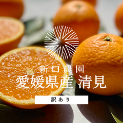 【産地直送】愛媛県八幡浜産 【清見】3kg ※訳あり