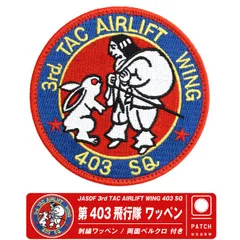 第２輸送航空隊チャレンジコイン　２枚セット　ケース付き 2025年最新】第2輸送航空隊の人気アイテム - メルカリ