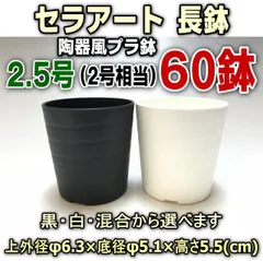 2025年最新】セラアート 2.5の人気アイテム - メルカリ