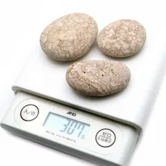 特大！珍品！模様特濃！】小判型姫川薬石 9.2kg-