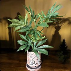 光触媒　フェイクグリーン　◯◯ファナ　人工観葉植物　大麻草　CBD# 8548@ Amazon｜FeyFey フェイクグリーン 大麻 マリファナ CBD 造花