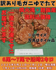 ゆでたて 訳あり毛ガニ６尾～７尾で２キロ前後活時計量　冷蔵便