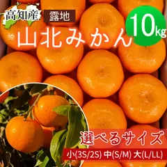 2025年最新】山北みかん sの人気アイテム - メルカリ
