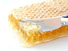 【数量限定】ハンガリー産 コームハニー 巣蜜 (400g（200×2個）)