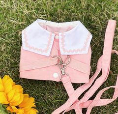 犬 猫ハーネス【リード付き】胴輪 犬服 ペットウェア 犬服　可愛い襟付き二色