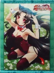 【中古】タペストリー 周泰 B2タペストリー 「PSPソフト 真・恋姫†夢想 -乙女繚乱☆三国志演義- 呉編 アニメイト限定セット」 特典