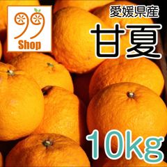 愛媛県産 甘夏 10kg 1099円 訳あり家庭用 柑橘