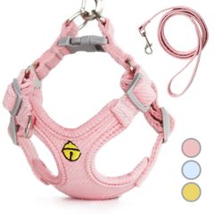 Item thumbnail for item 7b12466a-05d7-4624-a64d-5e15afe83fec