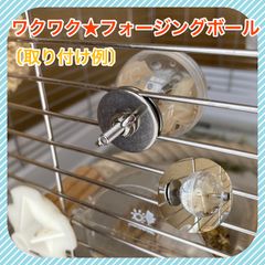 インコおもちゃ★わくわくフォージングボール
