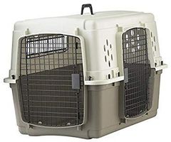 Item thumbnail for item a0d88f1b-657f-4467-beb8-7f676012877a