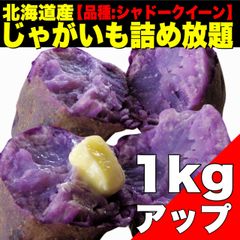 【限定3セット】北海道産じゃがいも（シャドークイーン）1kg　不揃い  野菜【北海道ちとせ空マチ！】