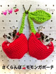 フクモモポーチツートンニット