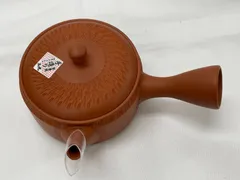 急須 M-207 玉光作　セラメッシュ　150cc