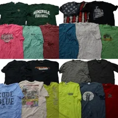 古着卸 まとめ売り カラーmix プリント 半袖Tシャツ 20枚セット (メンズ XL ) ナイキ ワンポイント チームロゴ 星条旗 中古 古着 MZ7944