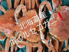 メチャ旨❗️釜茹でセコ蟹(ズワイガニ雌)北海道産４尾