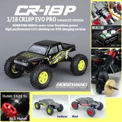 超高性能☆ LCG クローラー ☆ HOBBYPLUS CR18P EVO PRO RTR