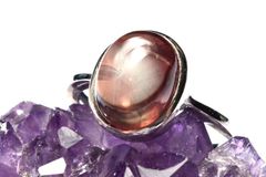 Item thumbnail for item 76849aae-1fc8-4da4-9f10-34b5744d6b07