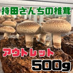 持田さんちの椎茸 【アウトレット品】５００g