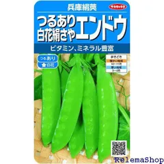 絹さや 2025年最新】絹さや 種の人気アイテム - メルカリ