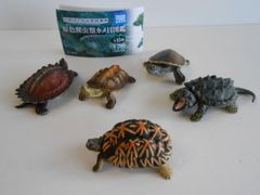 ♯Jkm20FTたまごっち!ウォッチだっち!全5種 ♯Jkm20FTたまごっち!ウォッチだっち!全5種 | フィギュアマニア
