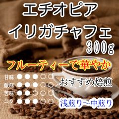 北海道稚内産ニンニクの芽500g 除草剤・農薬不使用 - メルカリShops