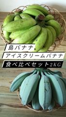 石垣島産 アイスクリームバナナ&島バナナ 食べ比べセット 2kg