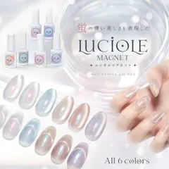 【ネイル工房公式店】 ルシオル 5ミクロンマグネット×エフェクトパウダー マグネットネイル ニュアンス カラージェル ジェルネイル 5ミクロン ラメ カラー ネイルジェル ジェルネイル用品 爪 カラージェルネイル ネイル工房【LUCIOLE(蛍)magnet】