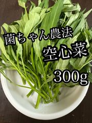 和歌山県産 空芯菜 300g 菌ちゃん農法 【農薬・化学肥料・動物性肥料不使用】