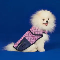 2025年最新】GUCCI 犬服の人気アイテム - メルカリ