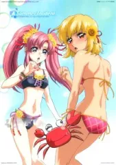 【中古】キャラカード(キャラクター) 3. ラクス・クライン＆カガリ・ユラ・アスハ 「機動戦士ガンダム フォトコレクションCellDX PHASE-actress/機動戦士ガンダムSEED」