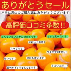 小玉みかん 減農薬 有田 1キロ 和歌山県産