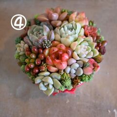 そのまま飾れる多肉植物寄せ植え②セール中 - メルカリ