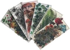 Item thumbnail for item 41a321b7-c5e6-438a-b23d-cd17bacd2fdf