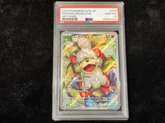 2025年最新】ヒスイガーディ psa10の人気アイテム - メルカリ 2025年最新】ヒスイガーディ psa10の人気アイテム - メルカリ