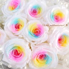ホワイトパステルレインボーローズ❁⃘*.ﾟ3輪 花材 プリザーブドフラワー