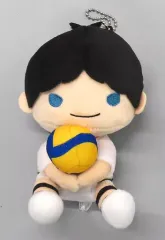 ハイキュー!! ぬいぐるみマスコット シュヴァイデンアドラーズVer．影山飛雄 ハイキュー!! レシーブぬいぐるみ 影山飛雄 シュヴァイデン