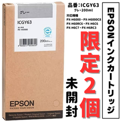 EPSONインクカートリッジ　ICGY63