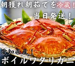 【冷蔵】【愛知県産】蟹　ボイルワタリガニ　大3〜4杯1kg 土曜日着限定