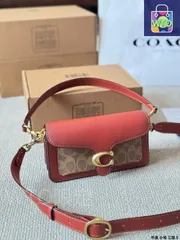 【今日特価】Coach New Tabby 3-Layer Dionysus Bag