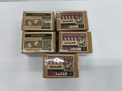 【アウトレット品】カラーネガフィルム HANDS ON FILM SPRING200 36枚 C-41 5個セット