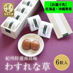 ※お届け先※北海道・沖縄専用 最高級紀州南高梅 はちみつ梅 ギフト 「わすれな草 6粒」