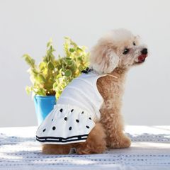 犬と生活　ドットキャミワンピ