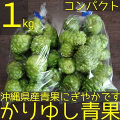 沖縄県産　ノニ（ヤエヤマアオキ、モリンガ）約１kg【コンパクト便】①