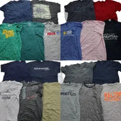 古着卸 まとめ売り カラーmix プリント 半袖Tシャツ 20枚セット (メンズ XL ) リアルツリー リンガーＴ ディッキーズ 中古 古着 NA0396